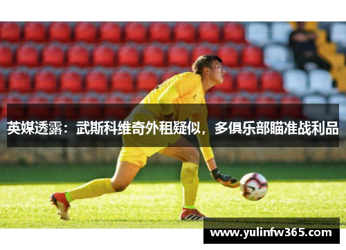 英媒透露：武斯科维奇外租疑似，多俱乐部瞄准战利品